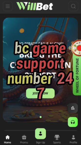BC Game Support Number - Customer Service-vz72fvrf.com
